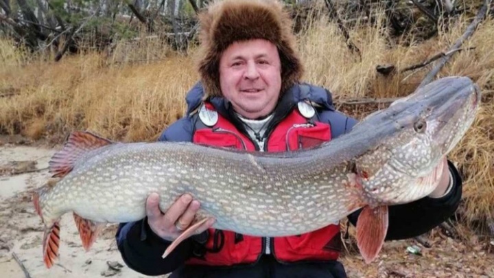 Ловись, рыбка: депутат Сургута похвастался шикарным уловом