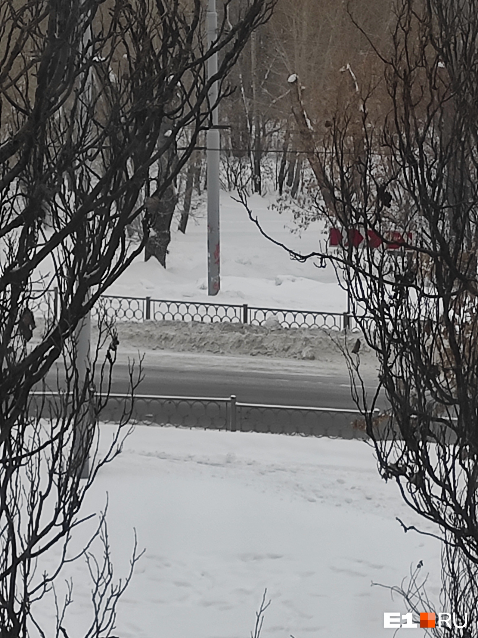 В районе метро «Динамо», говорят, вполне чисто В районе метро «Динамо», говорят, вполне чисто