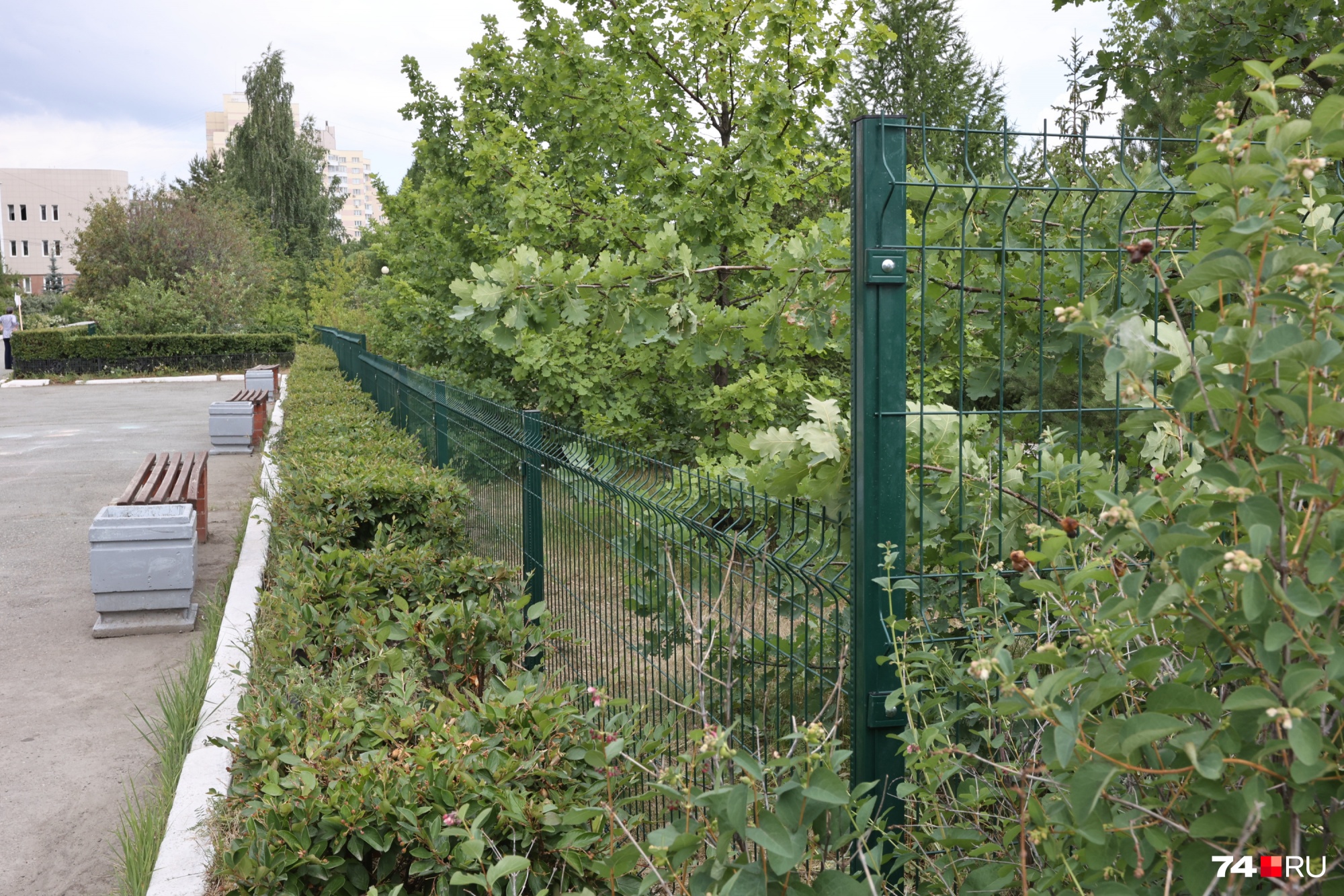 Теперь место отдыха студентов и ботанический сад разделены забором