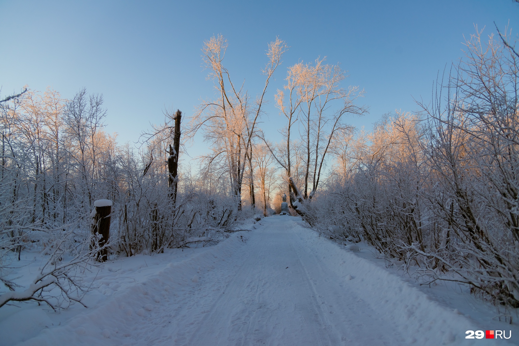 Дорога к Ленину почищена. А вот парк после урагана выглядит неважно даже под снегом
