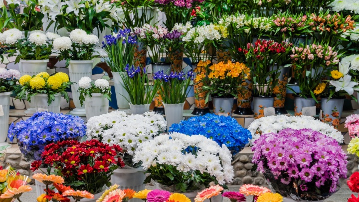 Пермские продавцы цветов обратились к губернатору и депутатам: они просят разрешить им работу во время локдауна
