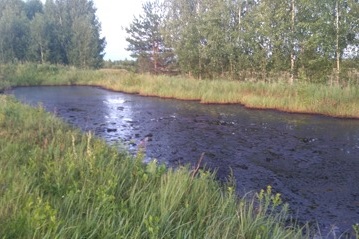 Озеро мазута нашли в Некрасовском районе Ярославской области