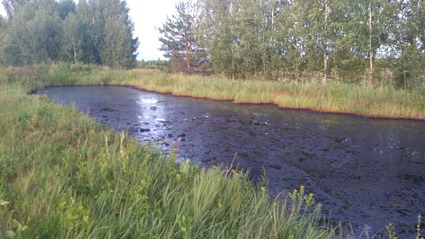 Опрокинулось несколько цистерн: в Ярославской области нашли озеро мазута