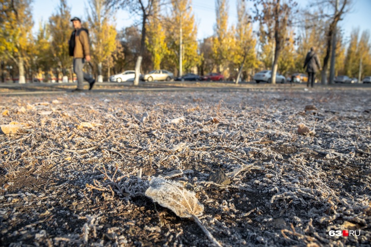 Заморозки в начале сентября — явление нечастое Заморозки в начале сентября — явление нечастое