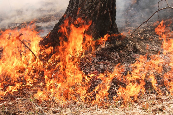 Очевидцы говорят, что сотрудники МЧС подоспели вовремя. Как <nobr class="_">результат —</nobr> огню не позволили причинить вред людям и их имуществу Очевидцы говорят, что сотрудники МЧС подоспели вовремя. Как <nobr class="_">результат —</nobr> огню не позволили причинить вред людям и их имуществу 