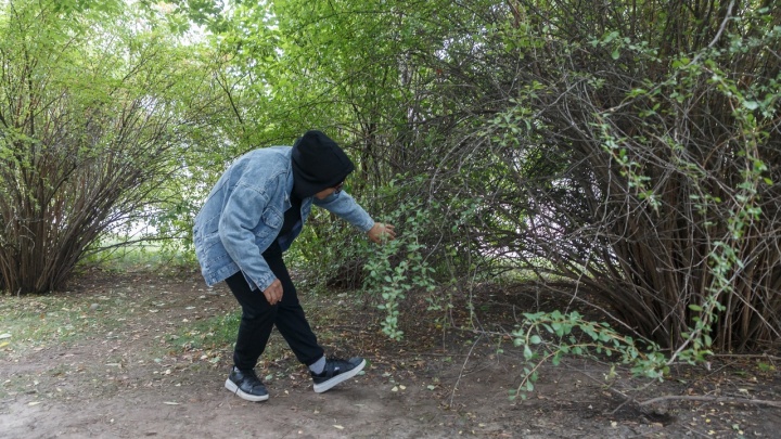 «В кустах очереди выстраивались»: волгоградцы обыскивают Аллею Героев в поисках 100 долларов от «Орла и решки»