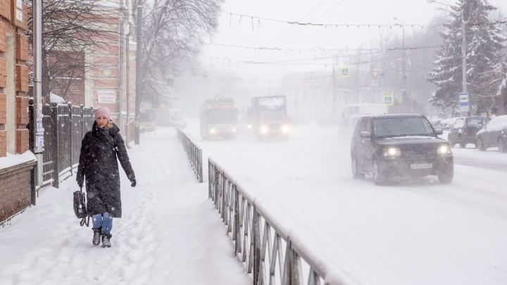 Надвигается снежная буря: МЧС дало экстренное предупреждение для жителей Ярославской области