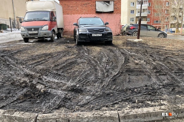 Свинская парковка по-екатеринбургски Свинская парковка по-екатеринбургски
