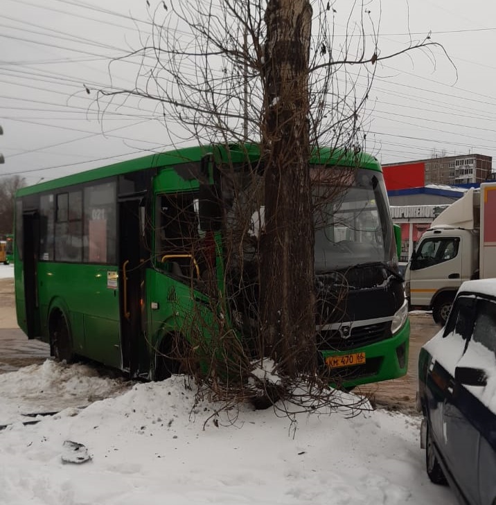 Автобус врезался в дерево Автобус врезался в дерево