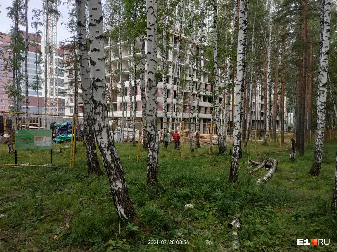 Речников 12/1 аксай. Речников 12 аксай. Березовый квартал. Жк березовая аллея. Жк легендарный квартал москва.