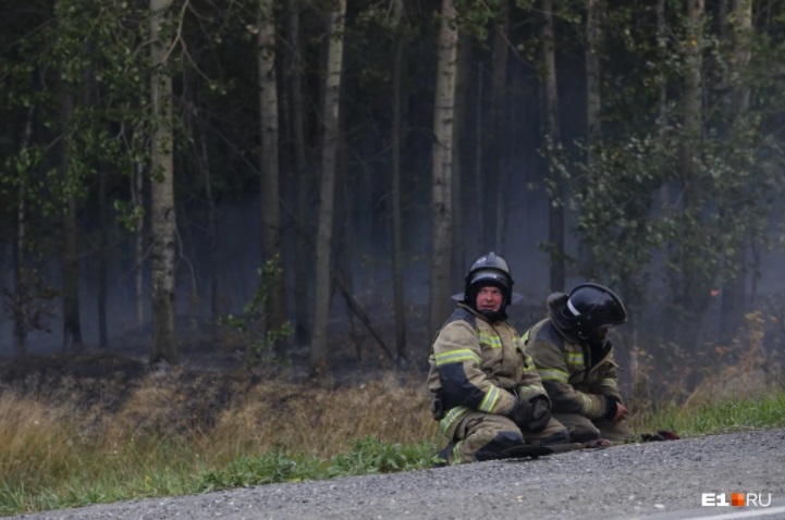 Прокуратура организовала проверку из-за лесного пожара под Первоуральском