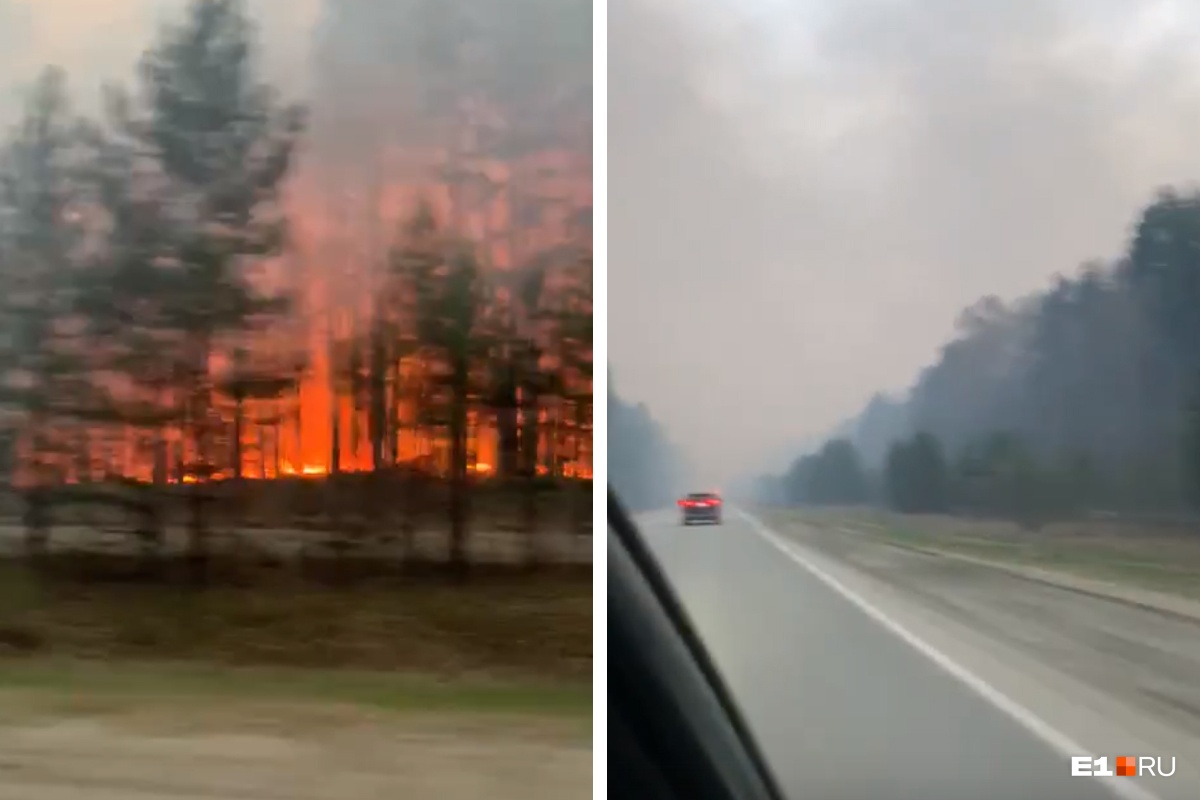 Огонь подобрался к поселку: под Асбестом бушует лесной пожар. Видео