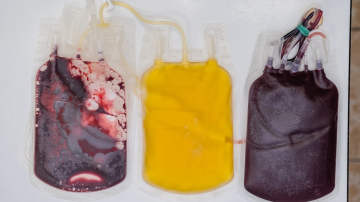 Пермяков приглашают на станцию переливания крови на акцию к 23 Февраля