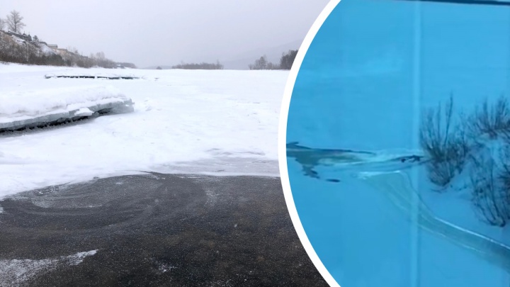 Красноярец прополз по тонкому льду, чтобы спасти тонущую в полынье собаку