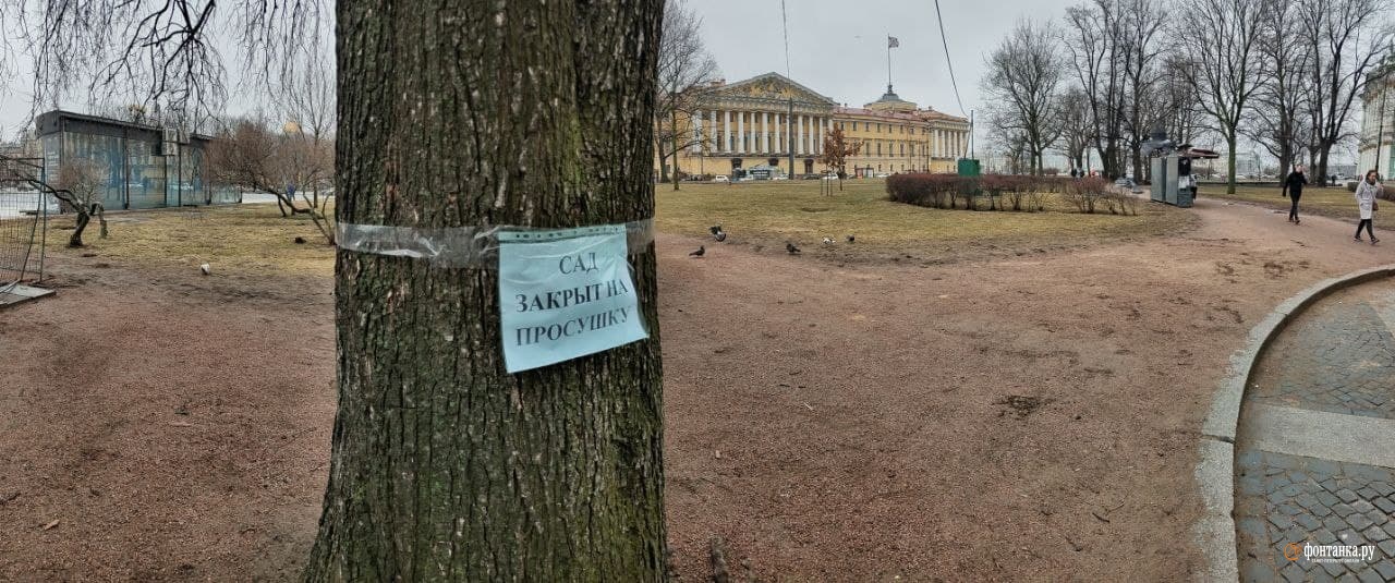 Парки Петербурга открылись после просушки, но не все. Посмотри, где можно полюбоваться пришедшей весной