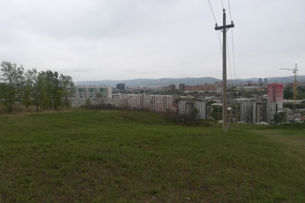 На участке пока чистое поле и ЛЭП На участке пока чистое поле и ЛЭП