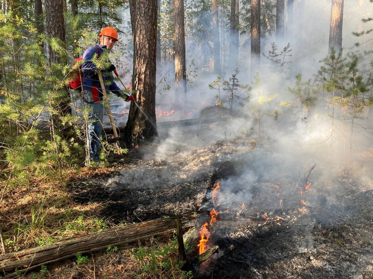 «Здесь километровые полосы сухих дров!»: екатеринбургские волонтеры рассказали, как разгораются лесные пожары