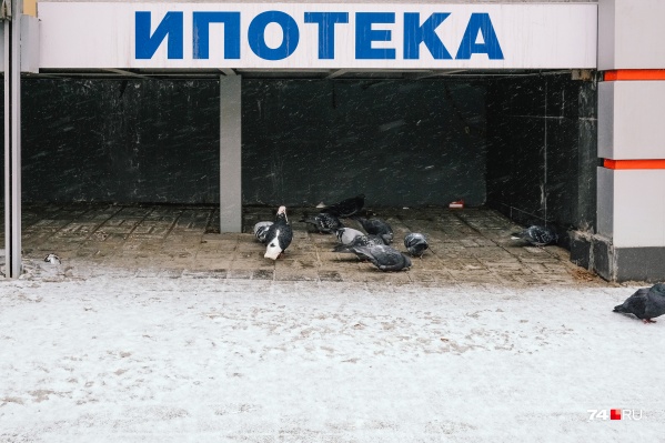 Несколько месяцев просрочки могут обернуться тем, что должник останется без жилья. Даже если оно у него единственное Несколько месяцев просрочки могут обернуться тем, что должник останется без жилья. Даже если оно у него единственное