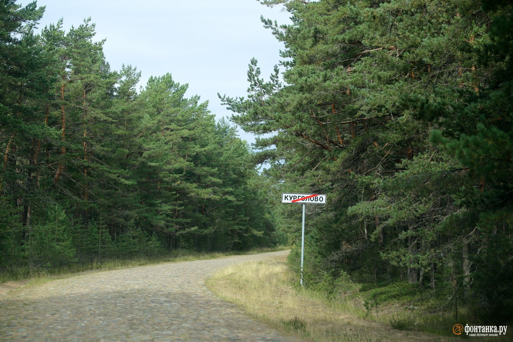 Облагородить трубу. «Северный поток…