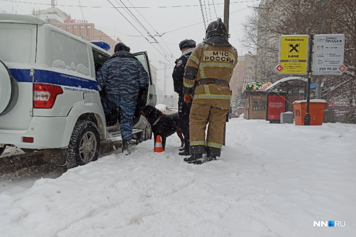 Искать взрывчатку сотрудникам МЧС помогали обученные собаки Искать взрывчатку сотрудникам МЧС помогали обученные собаки