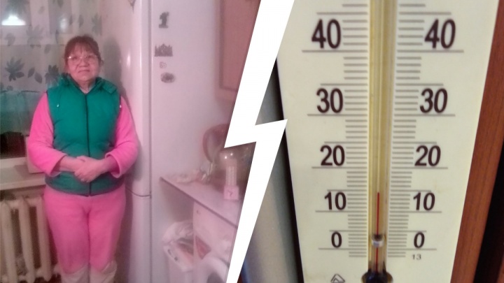 «Даже животные тепла ищут»: в поселке Ширшинский температура в квартирах упала до 14 градусов