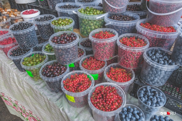 На этих прилавках можно будет продавать продукцию со своих ферм, из садов и огородов На этих прилавках можно будет продавать продукцию со своих ферм, из садов и огородов