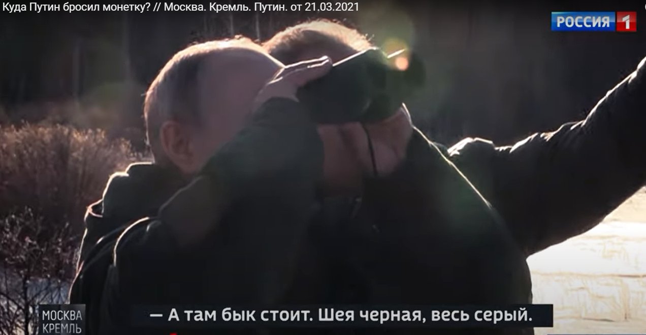 Шойгу под камерой показал Путину быка и научил делать «бонсаи»