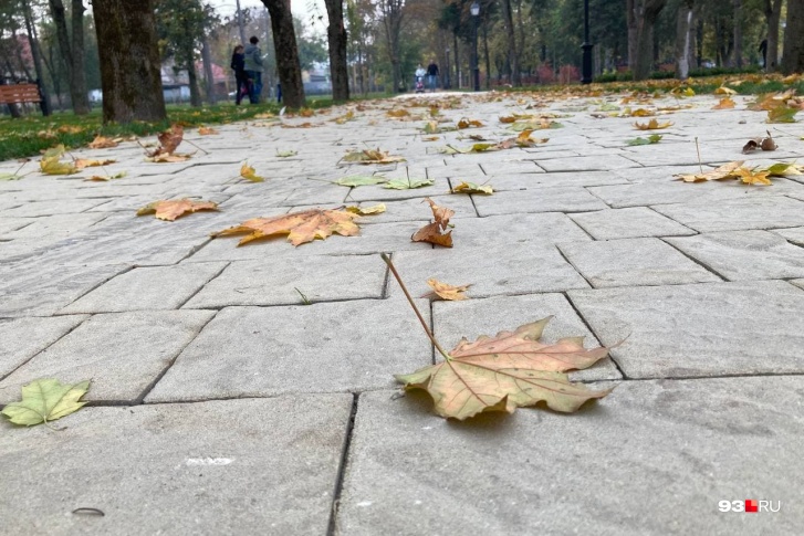 Пока что заморозки будут только ночью Пока что заморозки будут только ночью