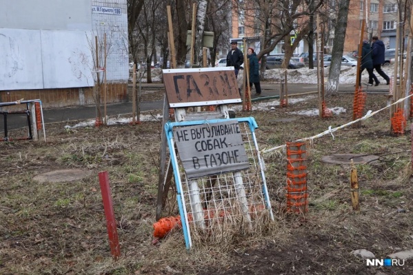 Решить проблему выгула могут специализированные площадки