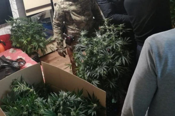 Результат работы задержанного нашли в одной из квартир Красноярска Результат работы задержанного нашли в одной из квартир Красноярска