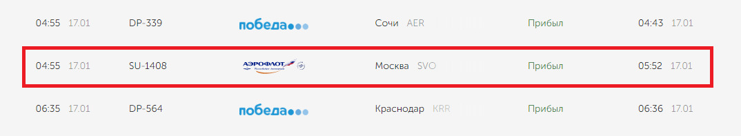 Рейс Карякина прилетел на час позже запланированного Рейс Карякина прилетел на час позже запланированного