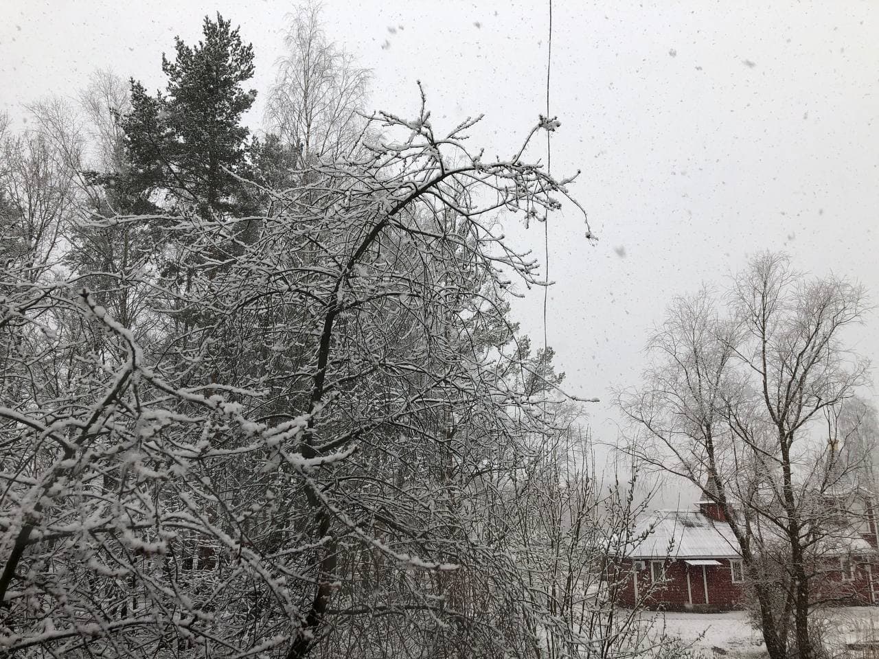 Горбунки, Ломоносовский район