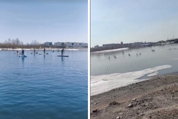 Заплыв удивил новосибирцев Заплыв удивил новосибирцев