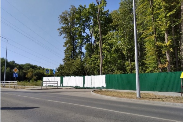 Огромные белые пятна на месте надписи появились утром 20 августа Огромные белые пятна на месте надписи появились утром 20 августа