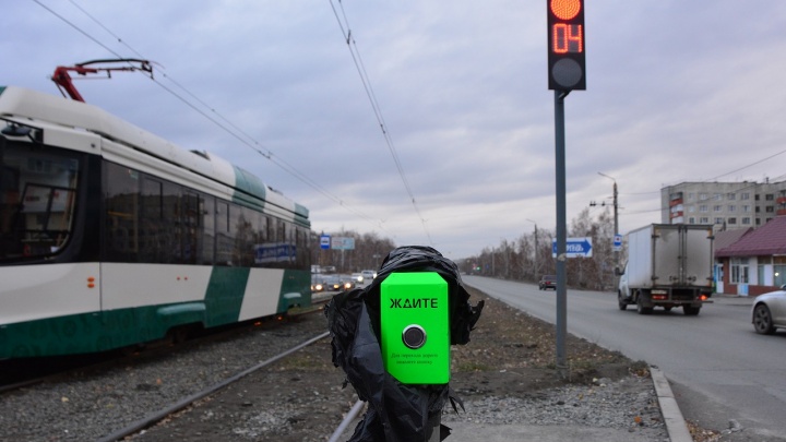 Тайна зеленой коробки. Рассказываем, зачем у челябинских светофоров появились кнопки «Ждите»