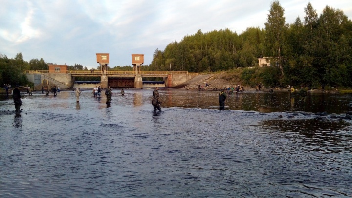 Где можно ловить рыбу в Архангельской области: карта с пояснением