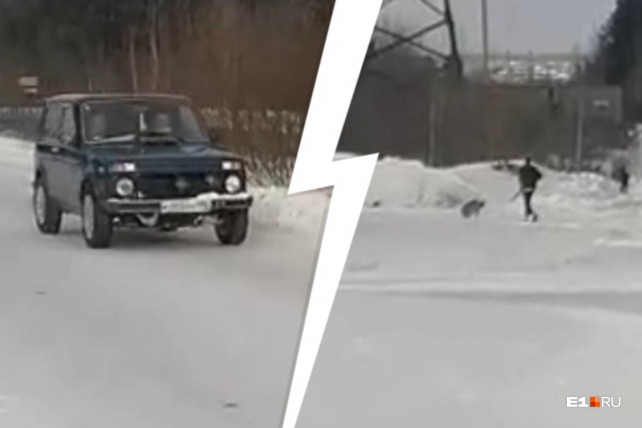 На Урале полицейские задержали мужчину, который расстрелял собаку из охотничьего ружья