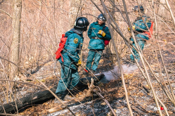 Из-за жаркой погоды в Самаре увеличилось число лесных и дачных пожаров Из-за жаркой погоды в Самаре увеличилось число лесных и дачных пожаров