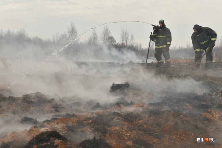 Пожарные заливают дымящуюся поверхность водой. Чтобы погасить глубинный огонь, пришлось наполнить каналы, сохранившиеся со времени осушения болота Пожарные заливают дымящуюся поверхность водой. Чтобы погасить глубинный огонь, пришлось наполнить каналы, сохранившиеся со времени осушения болота