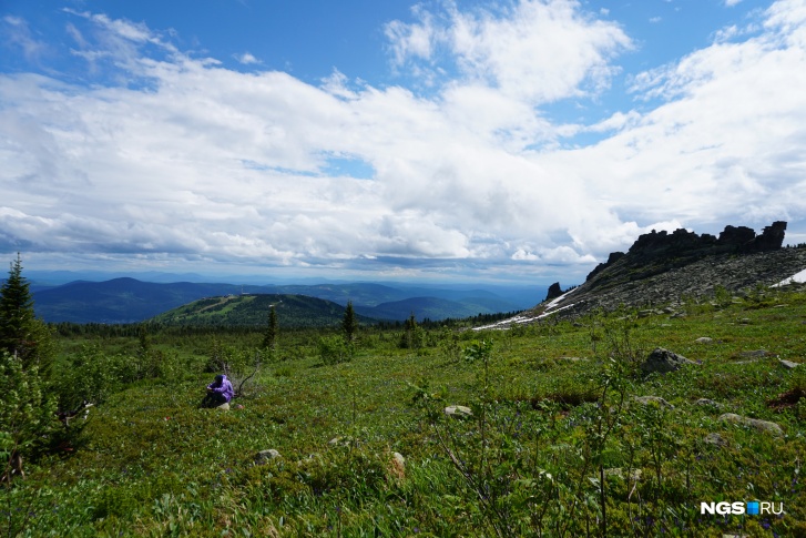 Вид на Шорию с вершины Зеленой горы летом