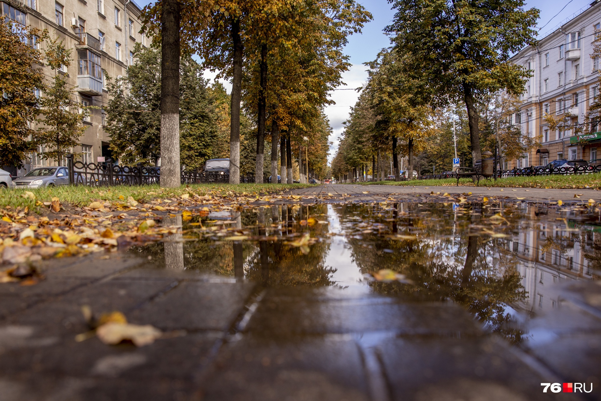 Осень на проспекте Ленина Осень на проспекте Ленина