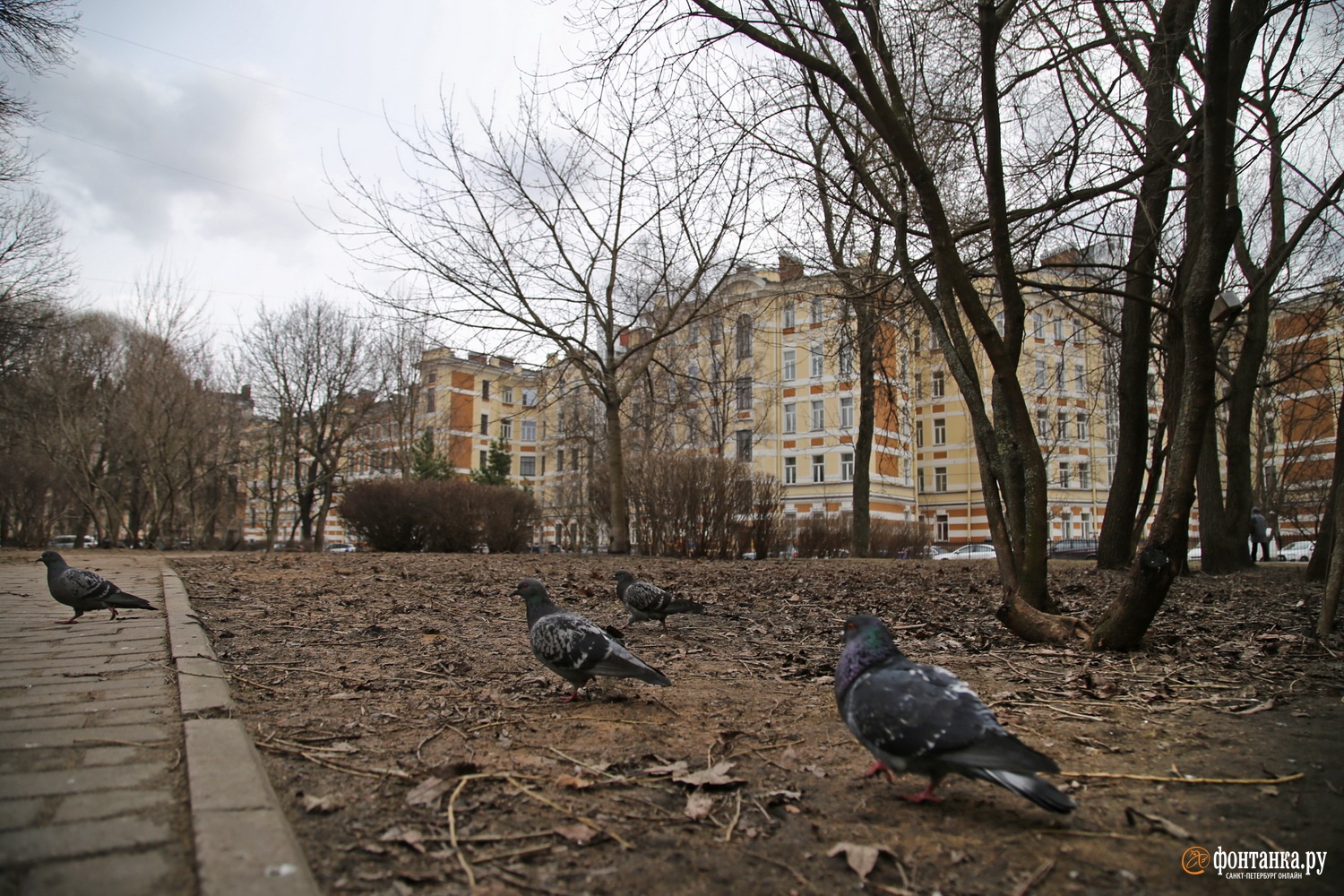 Апрель в городе