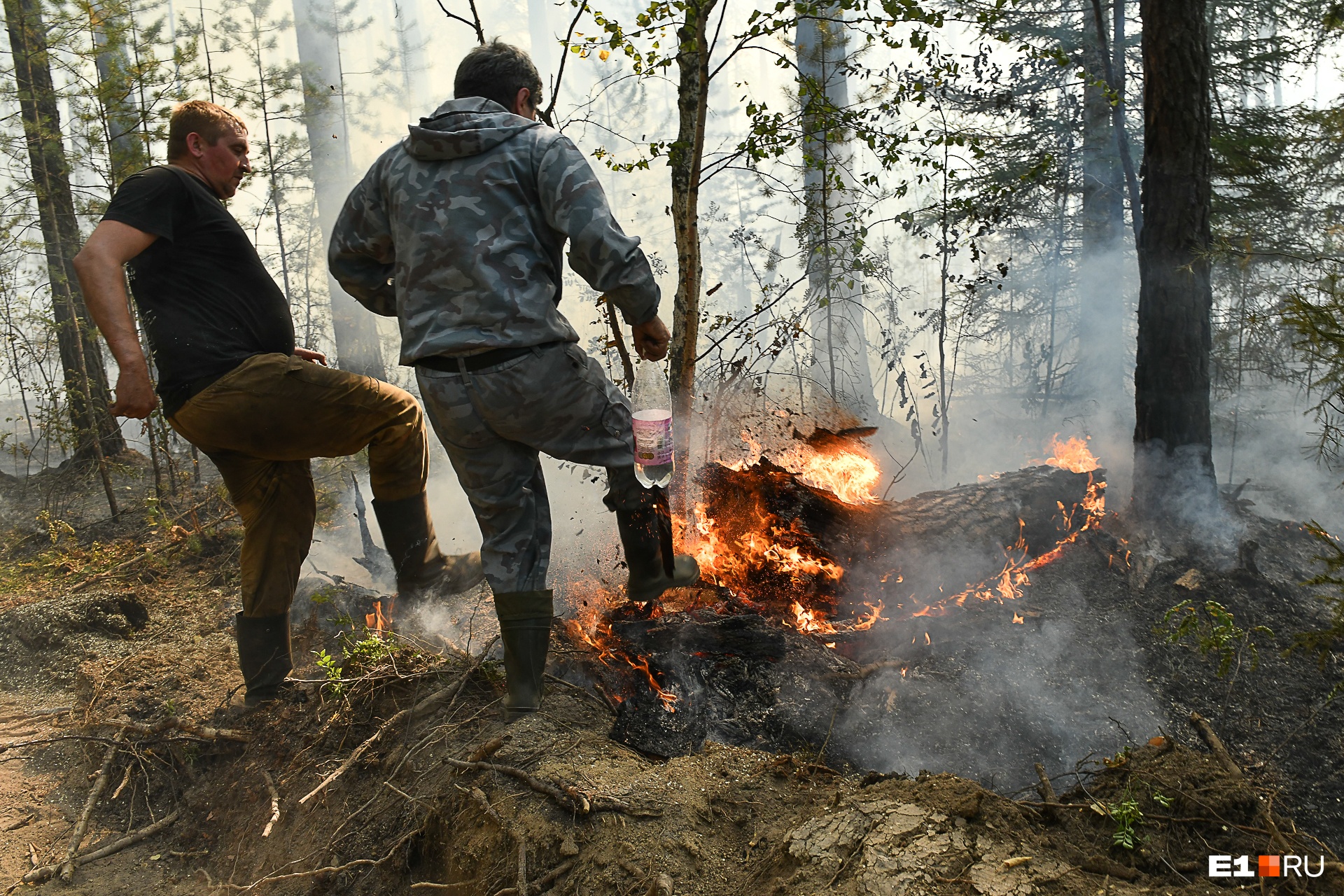 Действующих лесных пожаров не осталось в Иркутской области на 2 июня