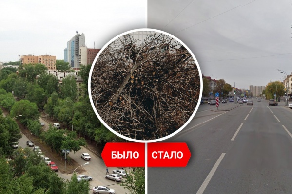 Сравним Тюмень на спутниковых снимках. Стала ли зеленее она Сравним Тюмень на спутниковых снимках. Стала ли зеленее она