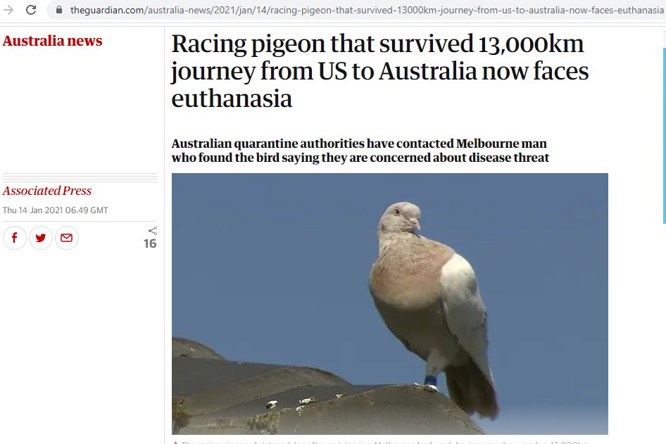 Скриншот с сайта www.theguardian.com