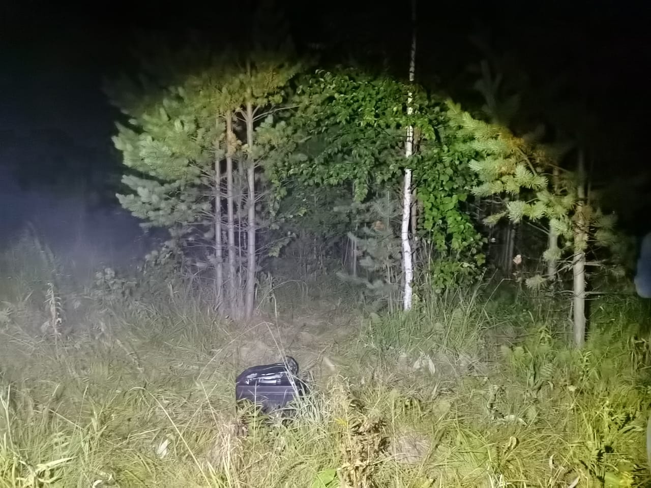 В лесу под Пышмой мужчина случайно убил друга, когда пытался подстрелить утку