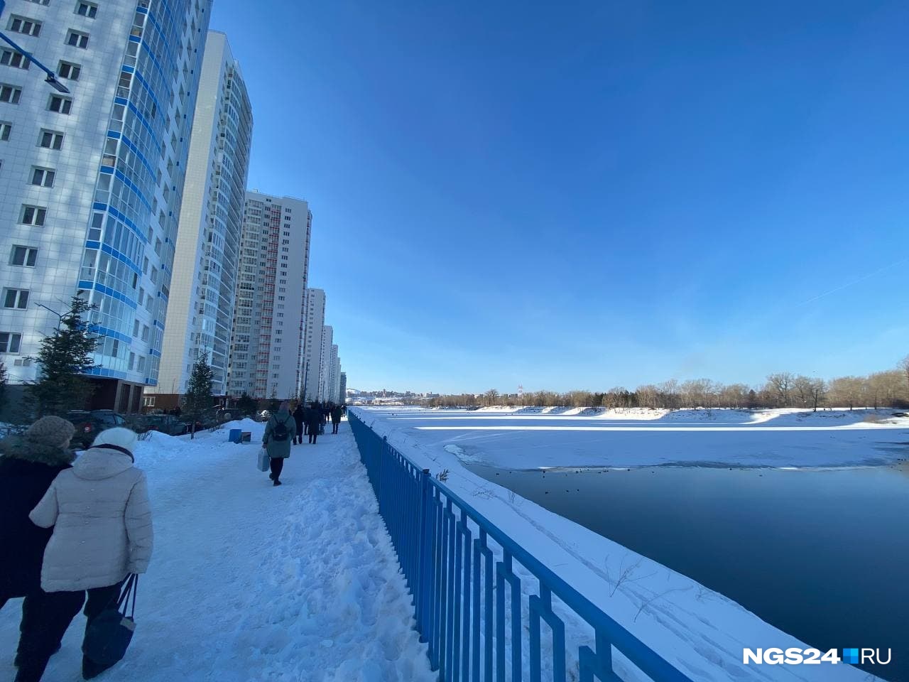 Владельцы собак выгуливают своих питомцев на Набережной и в лесу острова Отдыха Владельцы собак выгуливают своих питомцев на Набережной и в лесу острова Отдыха