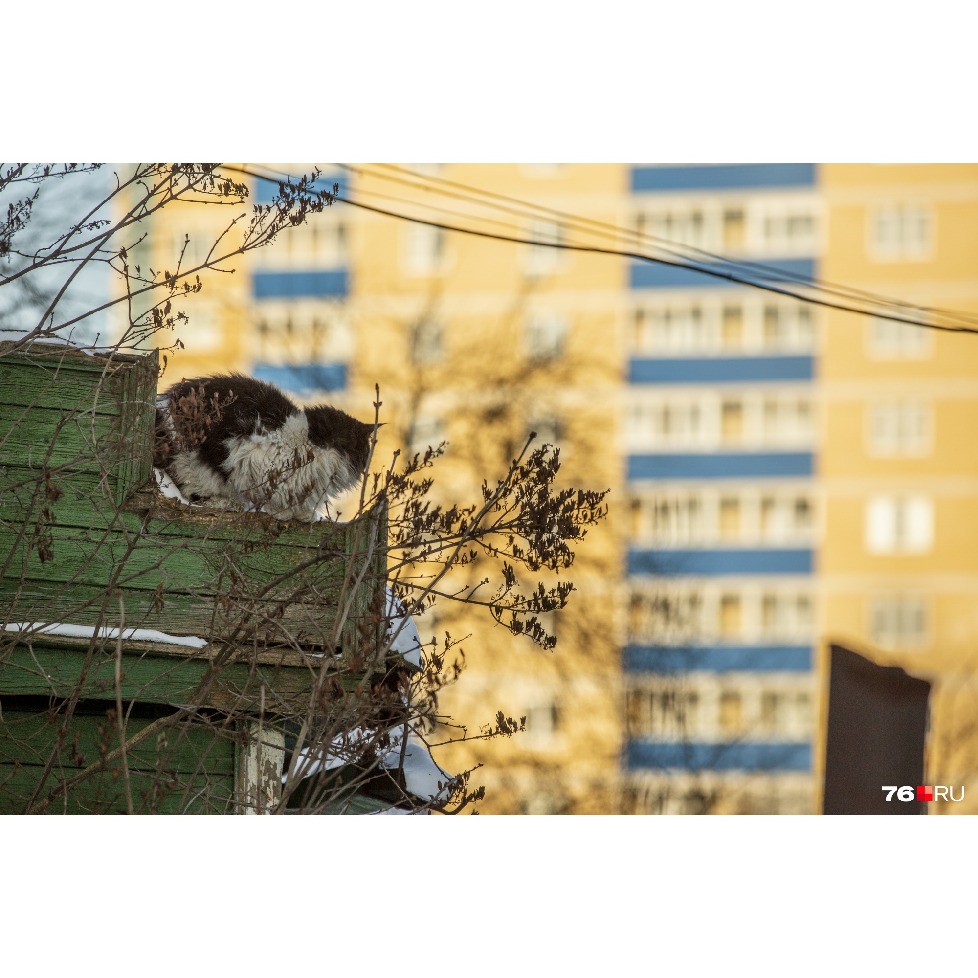 У жителей частных домов спросят, что они хотят У жителей частных домов спросят, что они хотят 