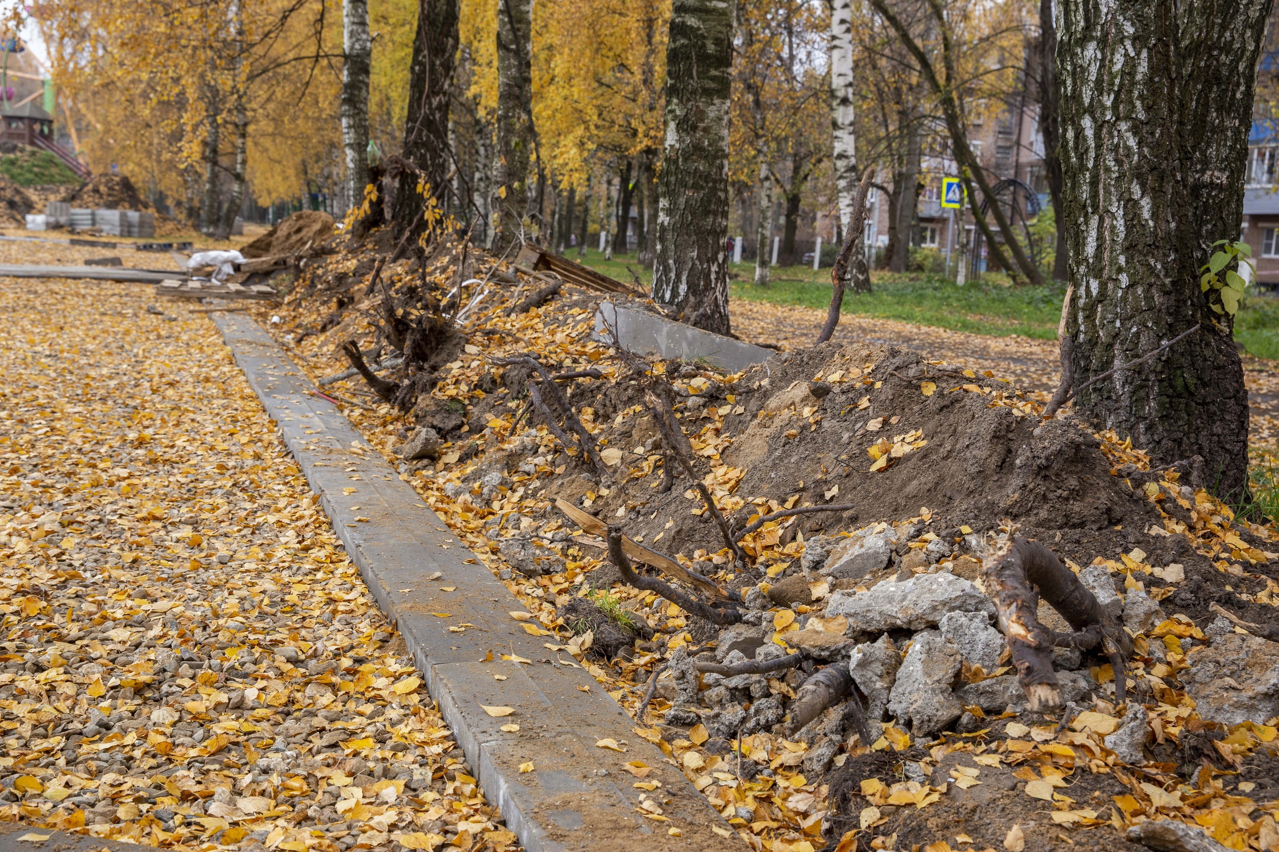 Арматура + остатки деревьев + земля = благоустройство Арматура + остатки деревьев + земля = благоустройство