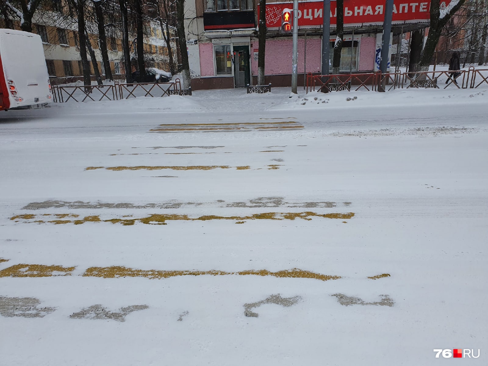 Зебру не видно из-за снега Зебру не видно из-за снега